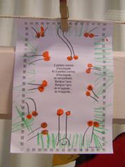 cotontige.jpg, oct. 2012